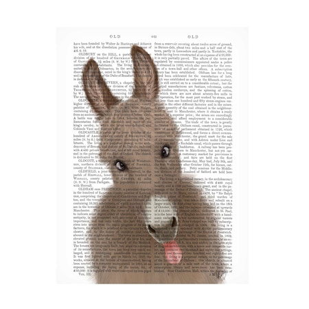 Fab Funky 'Funny Farm Donkey 2 Book Print' Canvas Art, 24x32